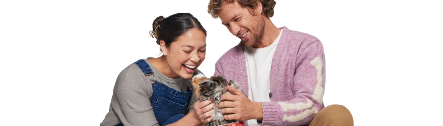 Pet Insurance Banner